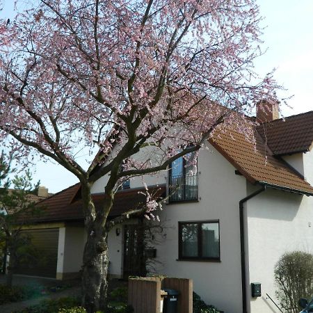 Ferienwohnung Kiko Zornheim Exterior photo